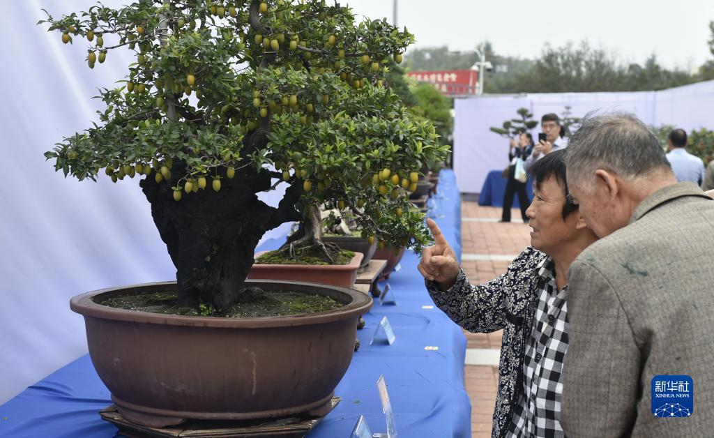 打牌三公规则